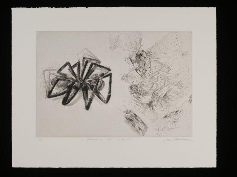 Arachne and Athena