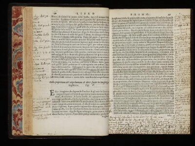 Trattato dell'arte della pittura, scoltura, et architettura