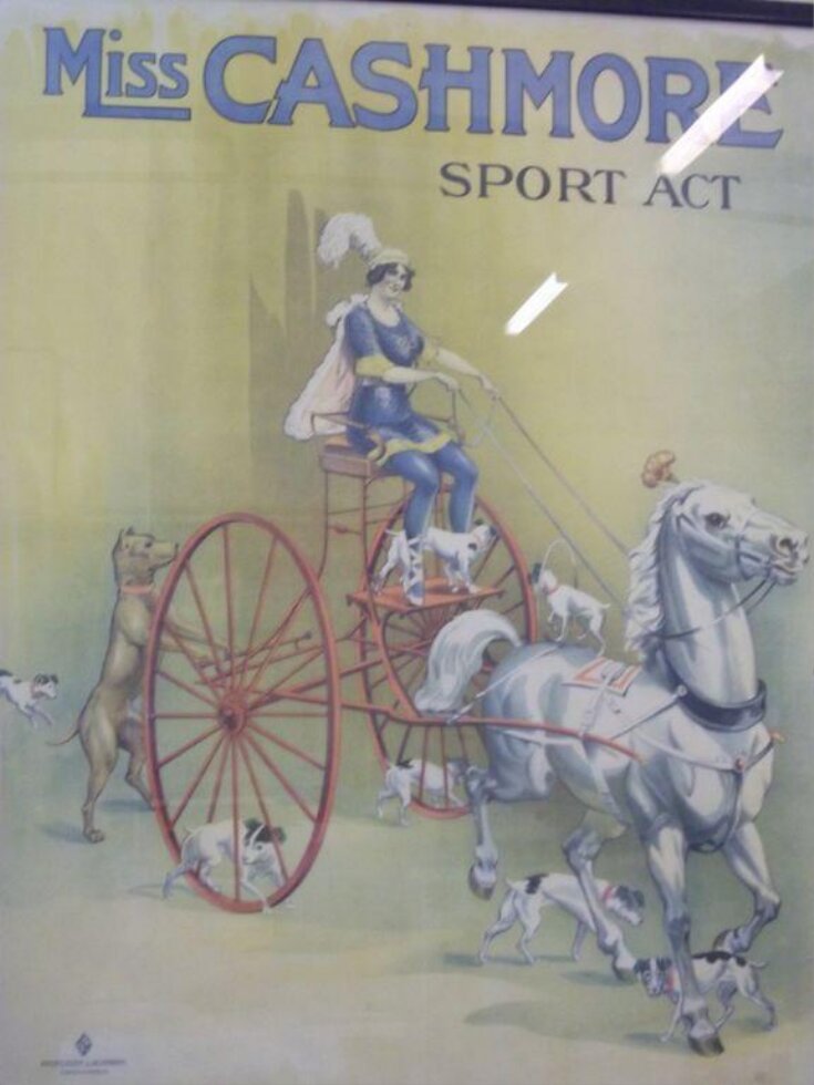Poster advertising Miss Cashmore Sport top image