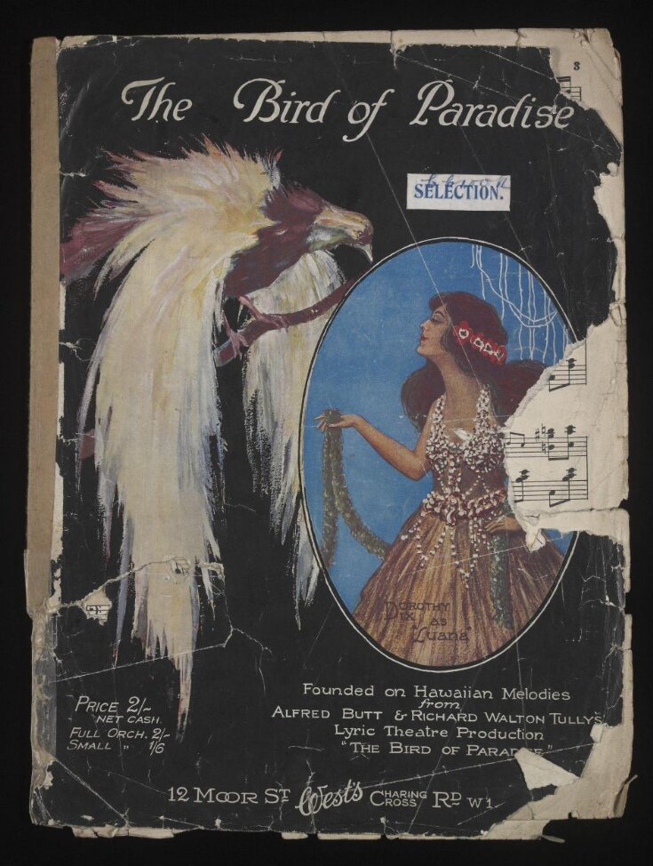 The Bird of Paradise image