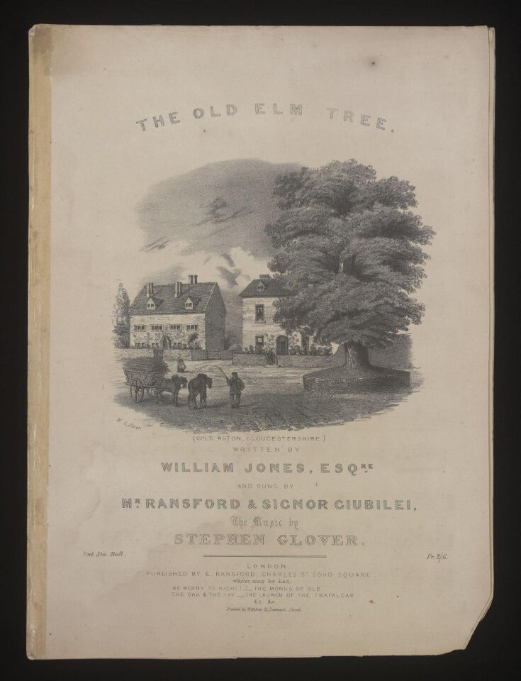 The Old Elm Tree image