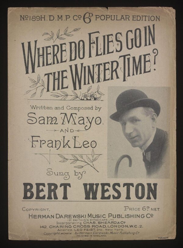 where-do-flies-go-in-the-winter-time-leo-frank-mayo-sam-v-a