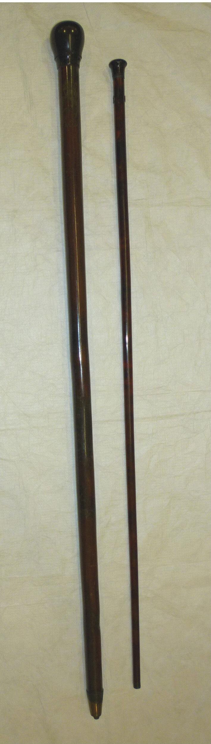 Walking Stick and Case top image