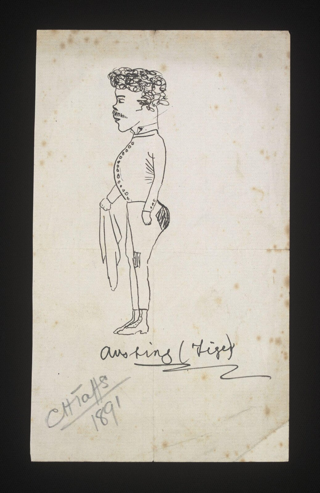 Austing [?] (Tiger), Taffs, 1891
