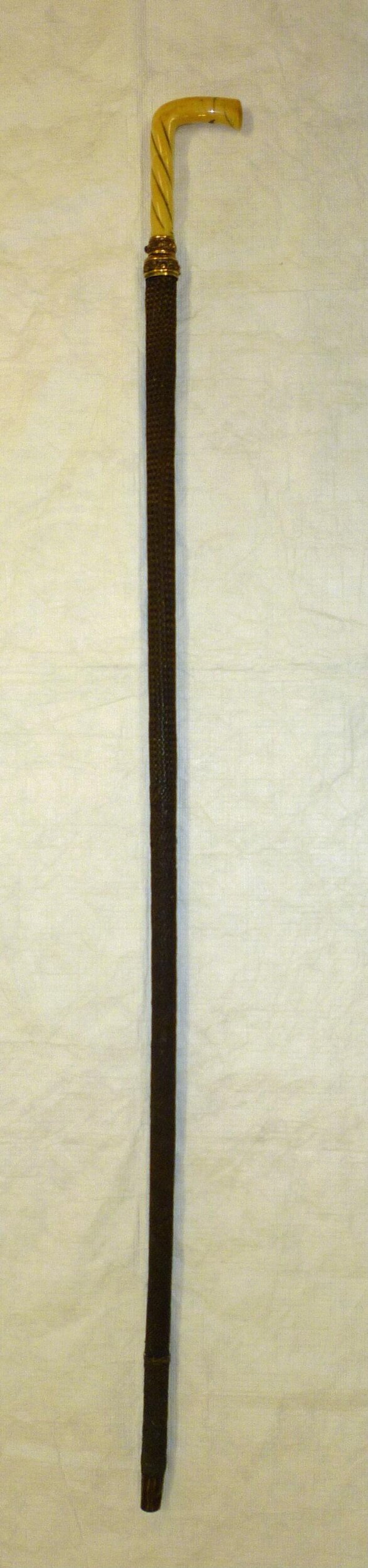 Sword Stick top image