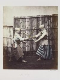 Views of Japan, Volume II