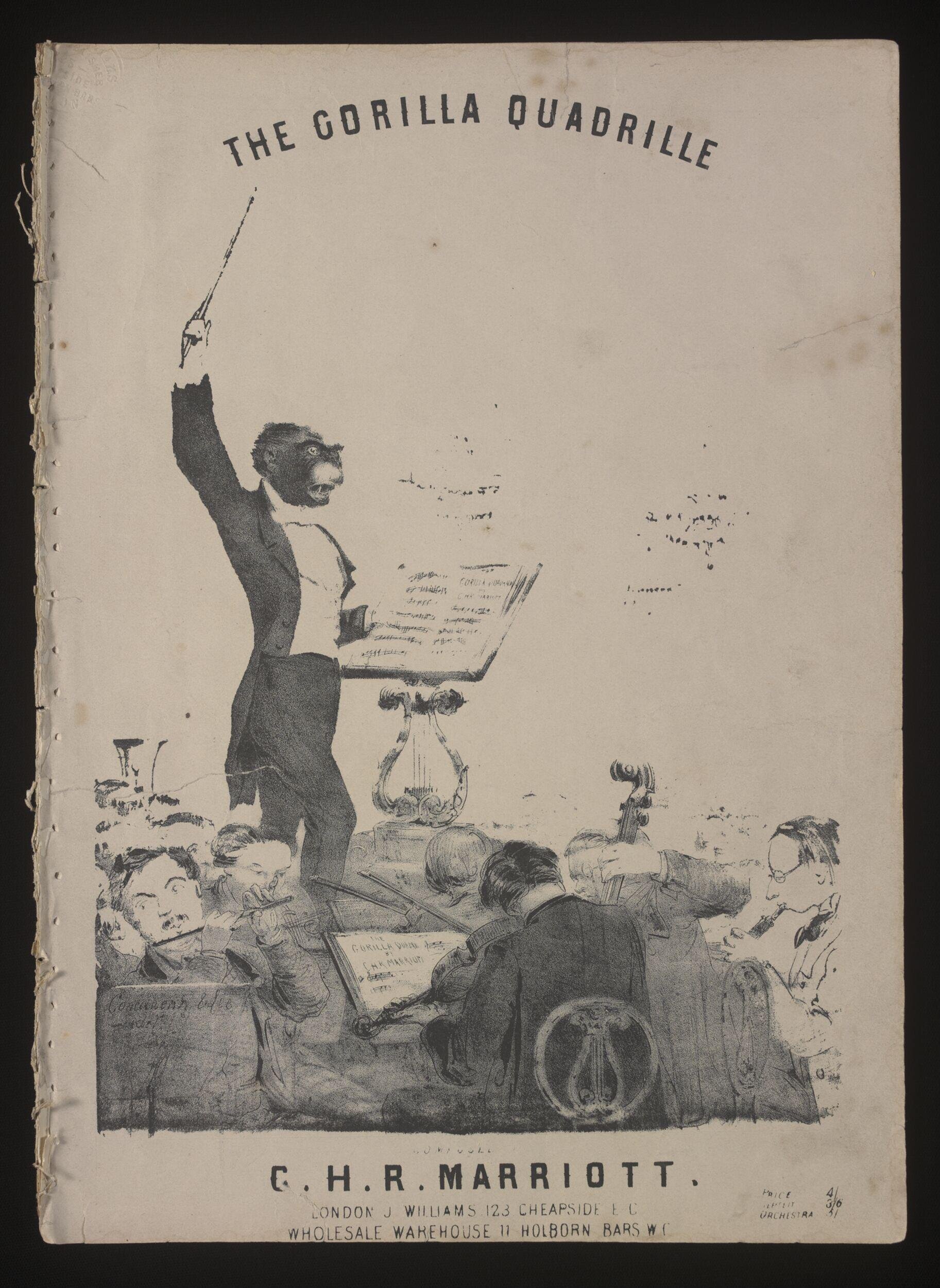 The Gorilla Quadrille