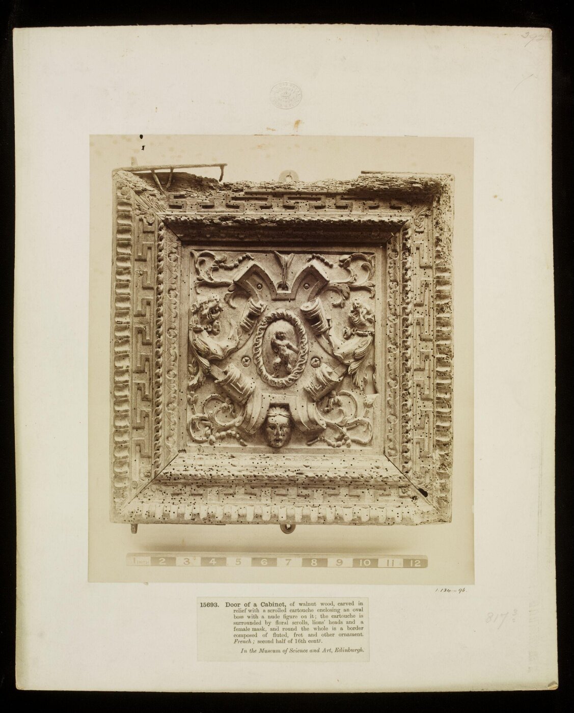 Unknown, Photograph