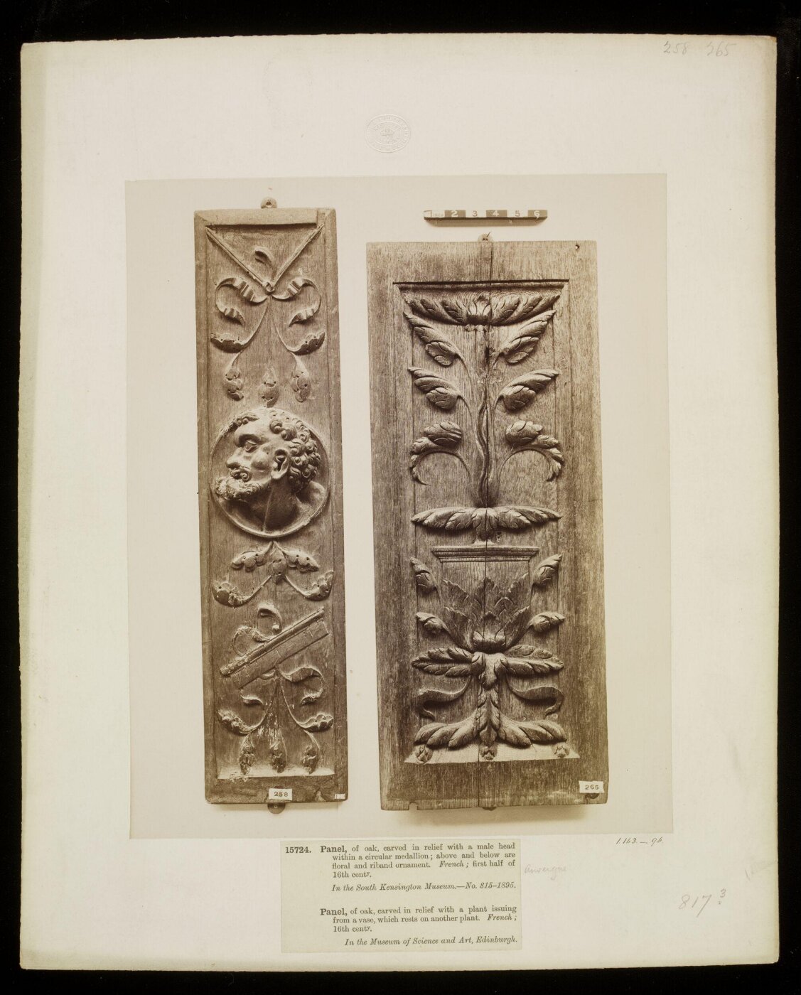 Unknown, Photograph
