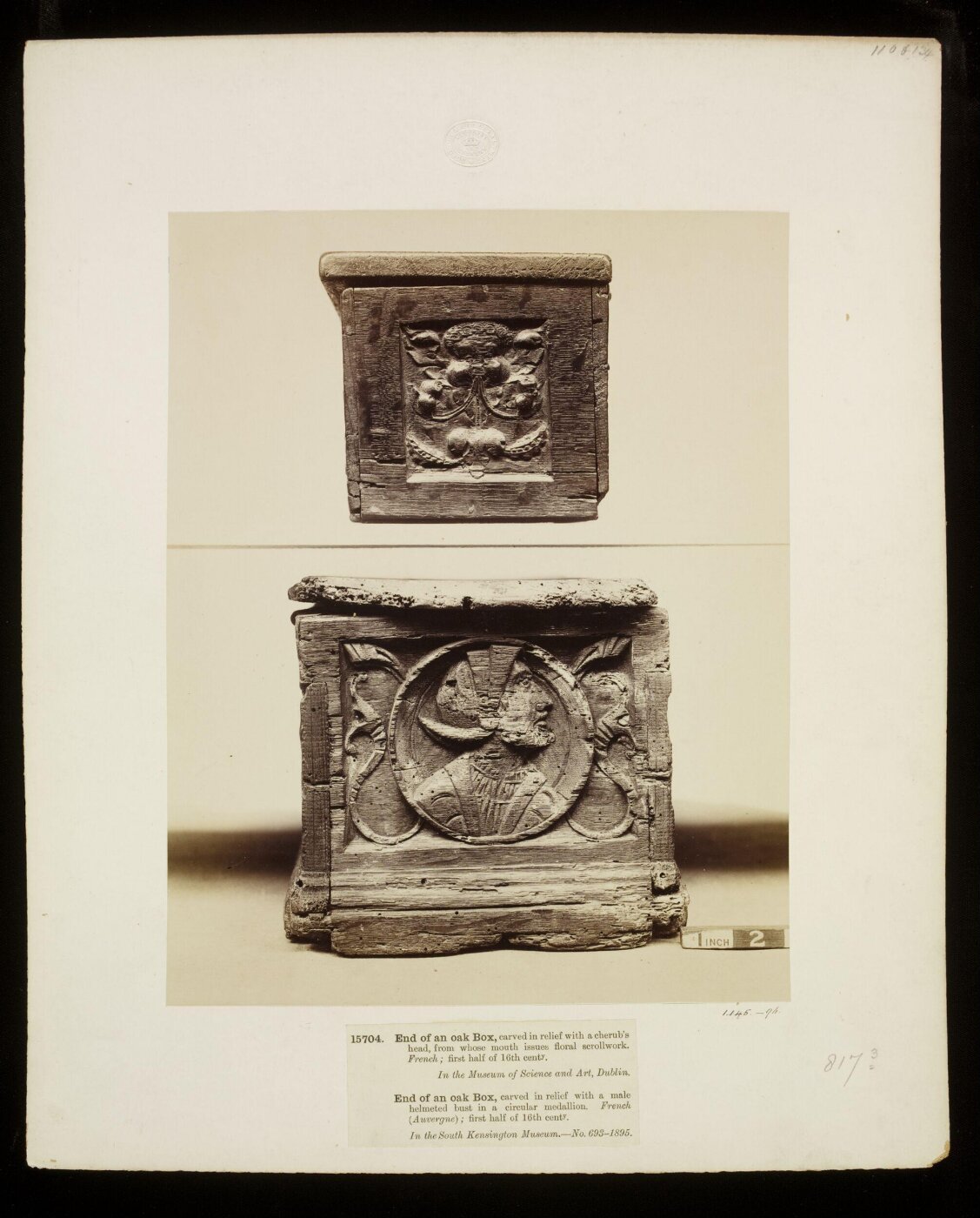 Unknown, Photograph