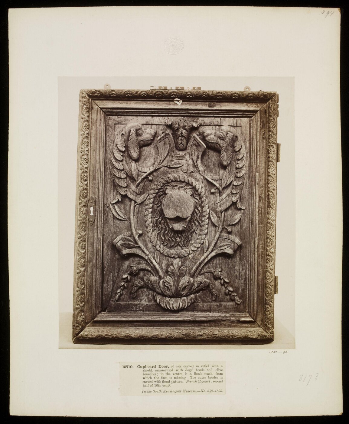 Unknown, Photograph