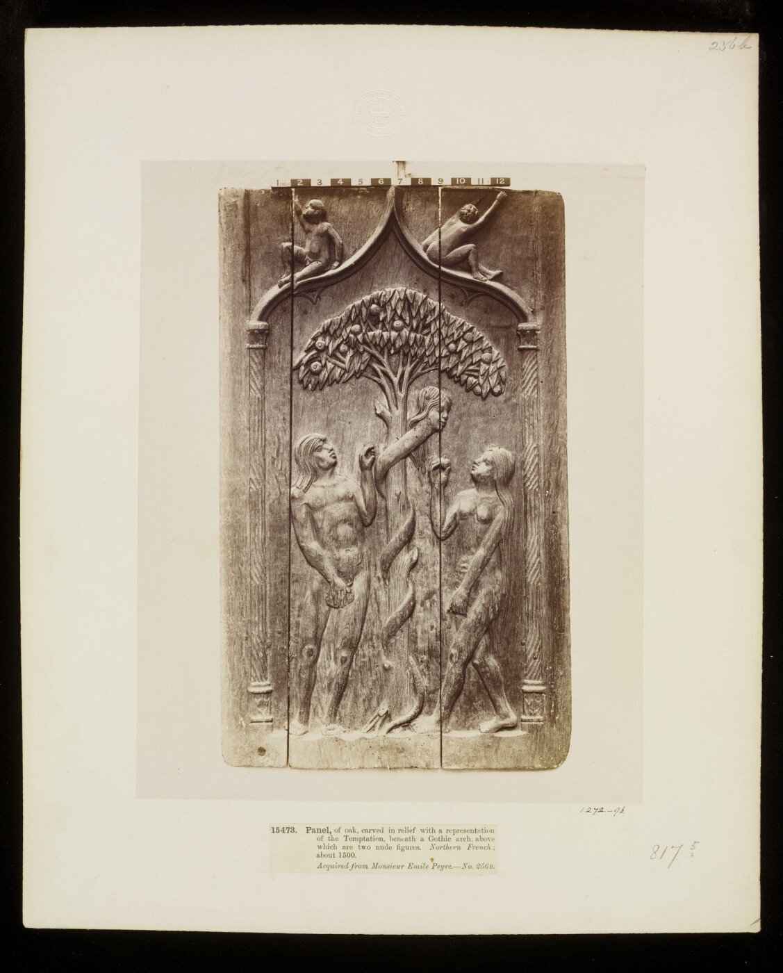 Unknown, Photograph