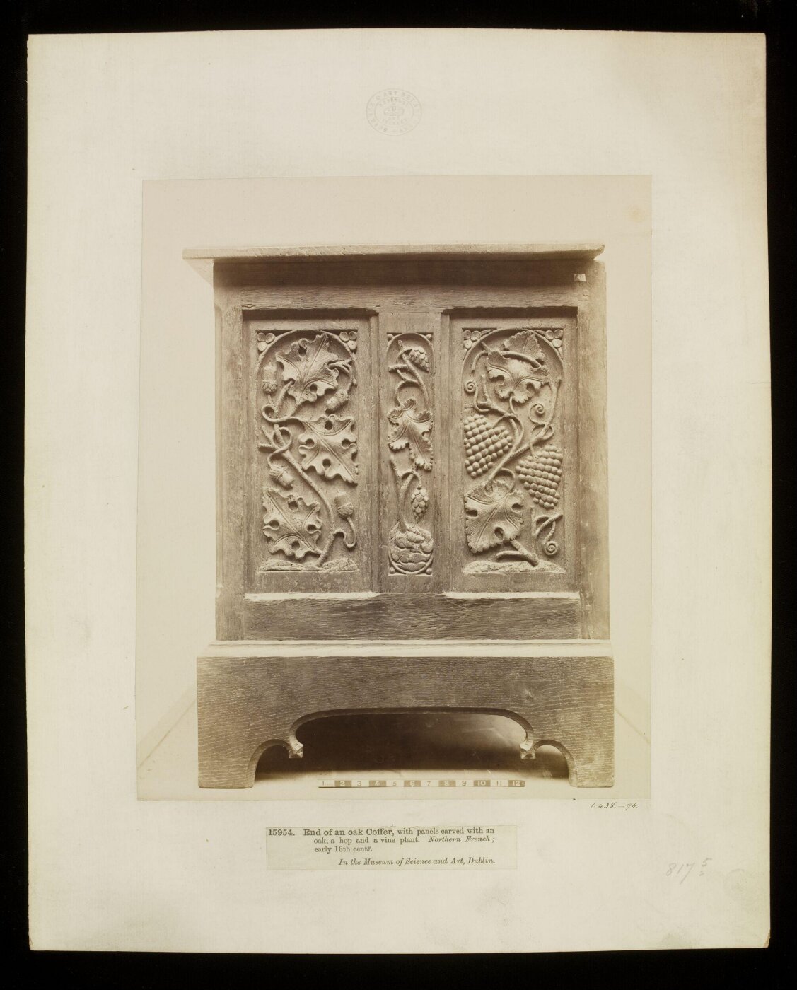 Unknown, Photograph