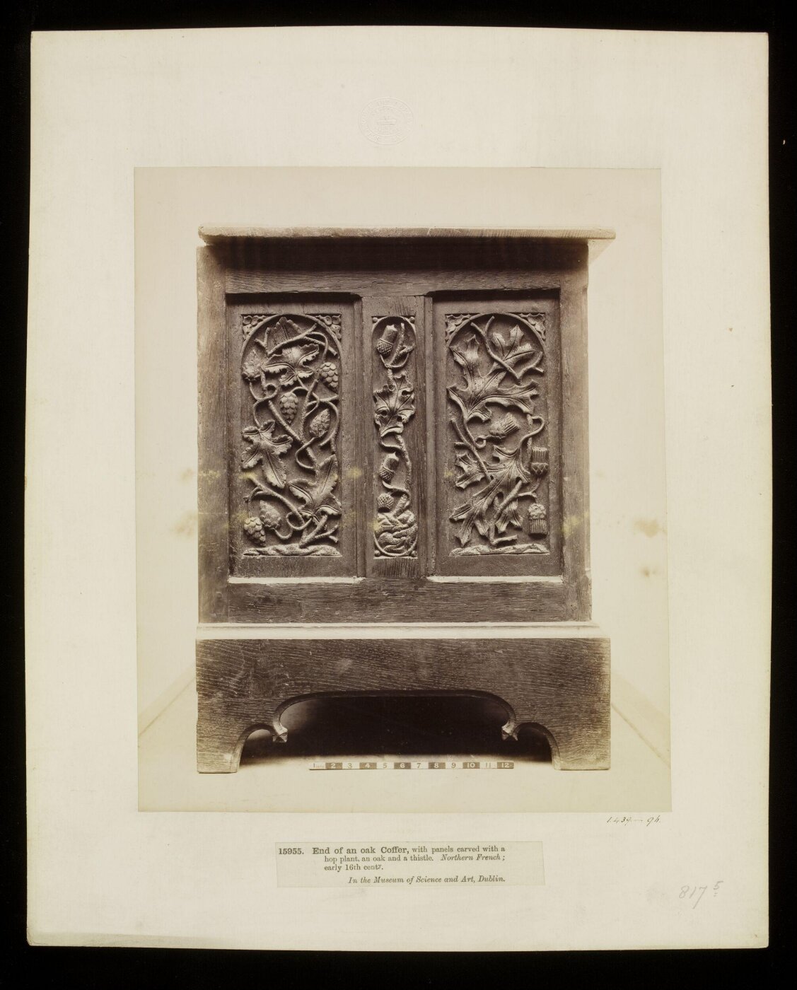 Unknown, Photograph