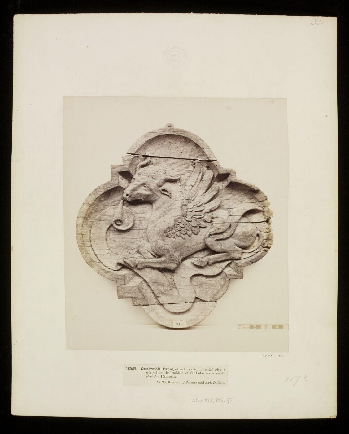 Unknown, Photograph