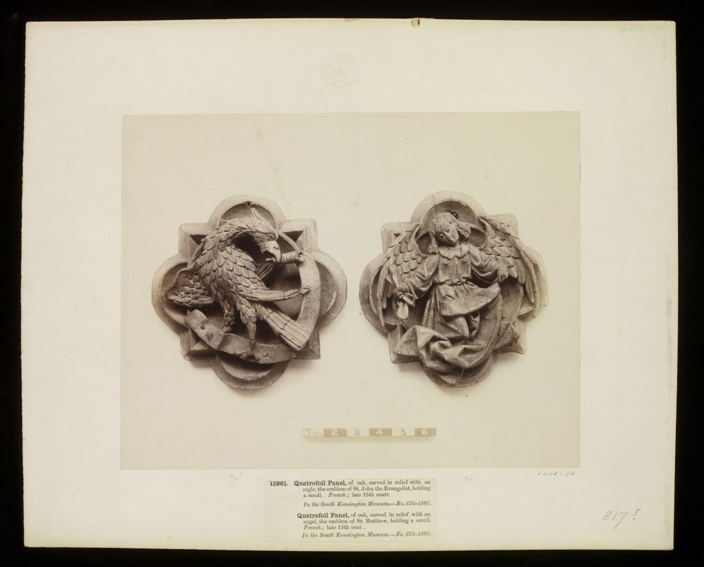 Unknown, Photograph