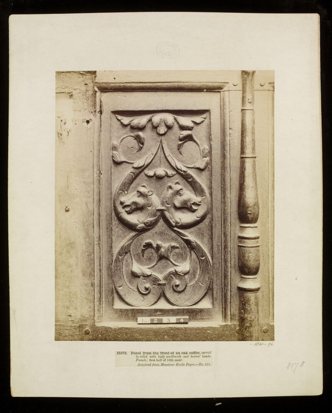 Unknown, Photograph