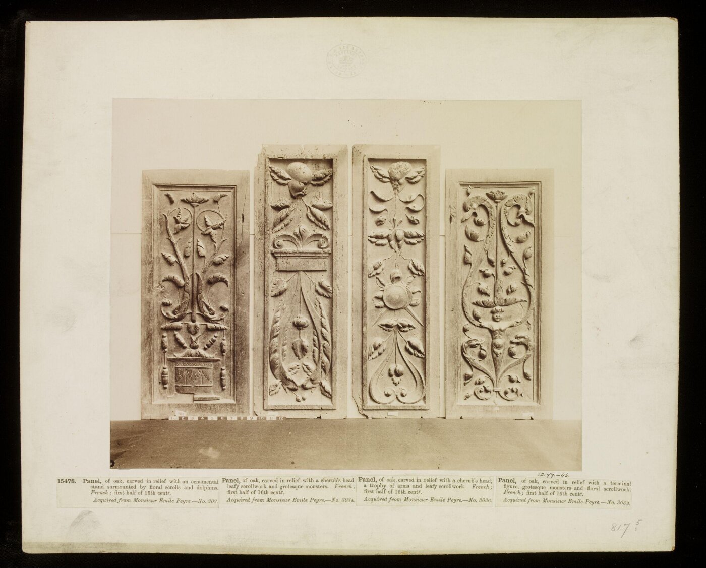 Unknown, Photograph