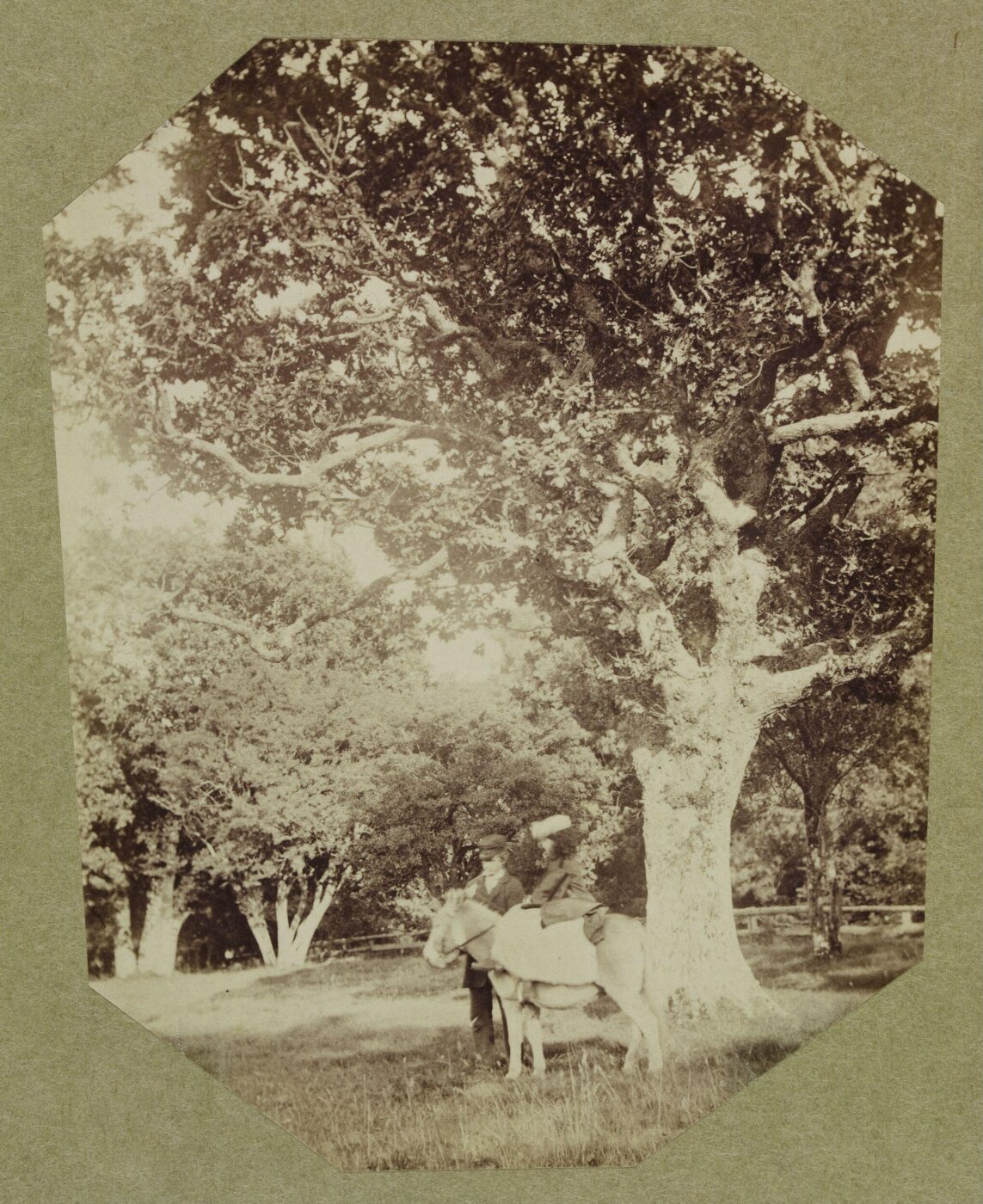 Clementina, Lady Hawarden, Photograph