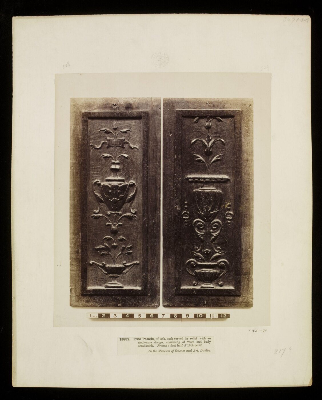 Unknown, Photograph