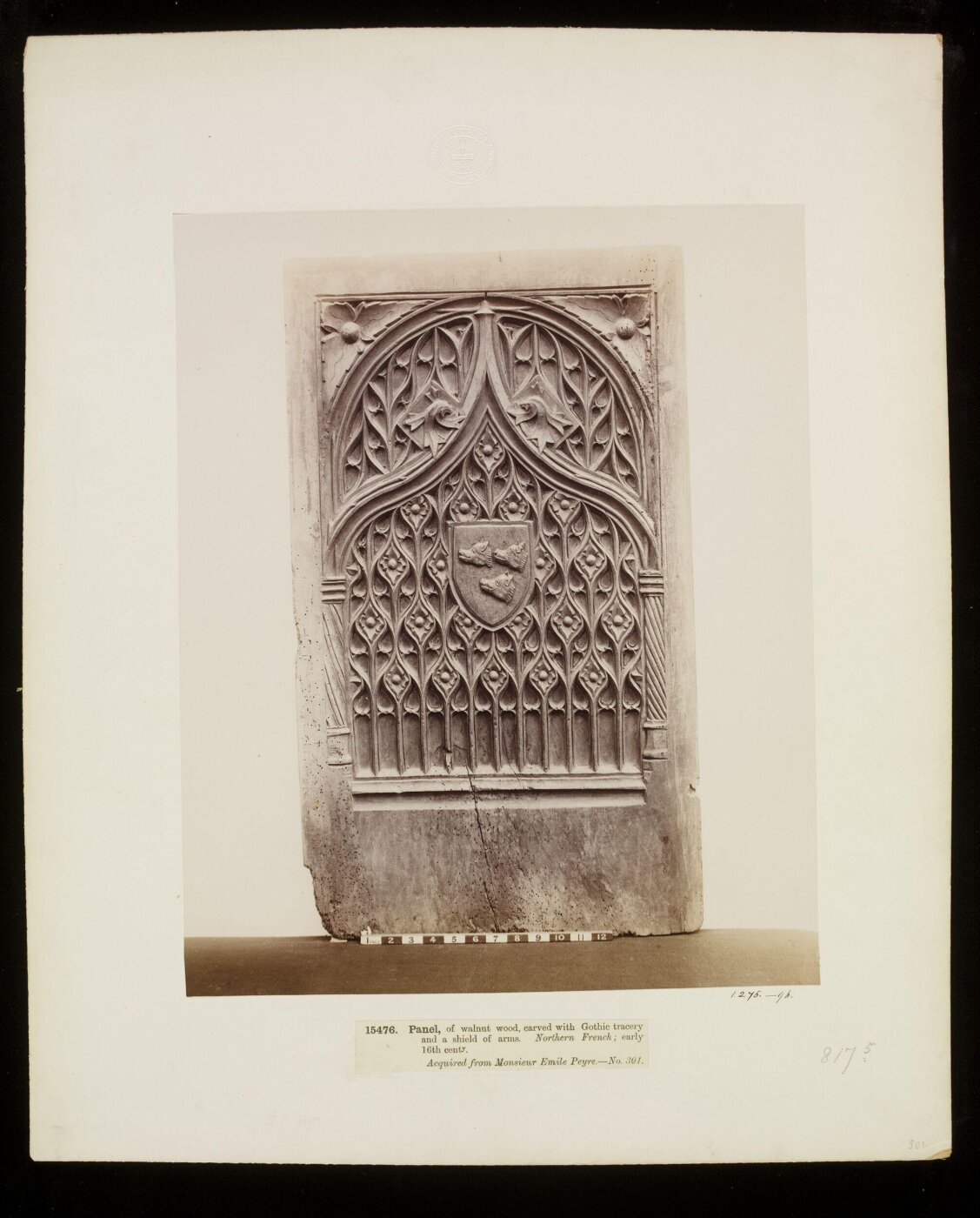Unknown, Photograph