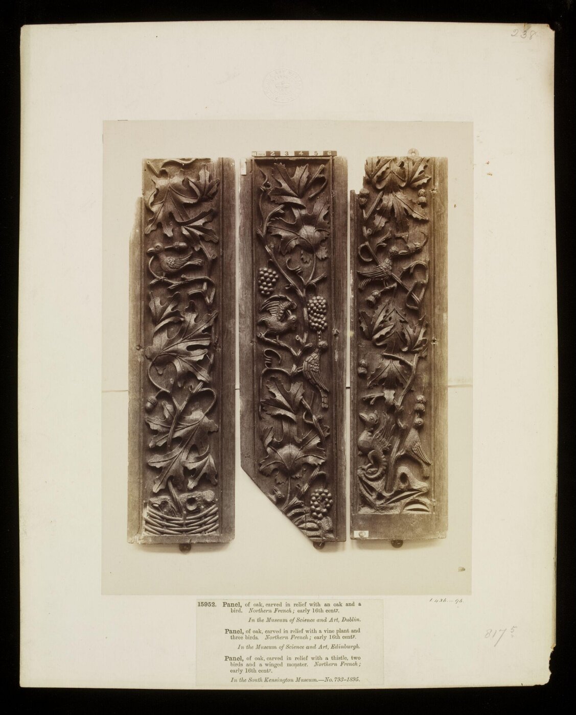 Unknown, Photograph