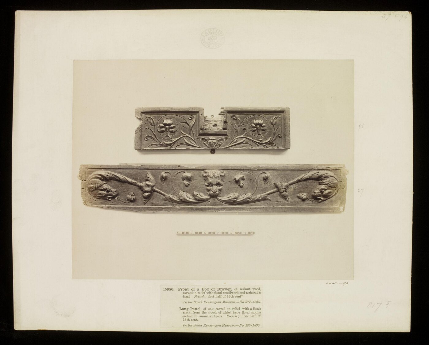 Unknown, Photograph