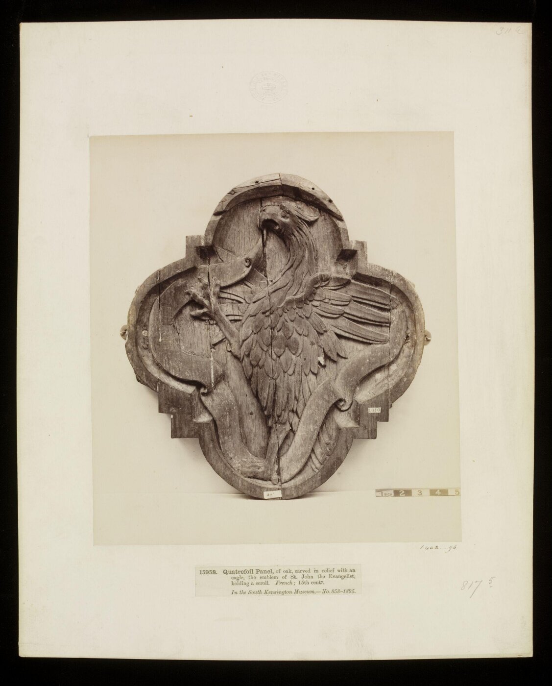 Unknown, Photograph