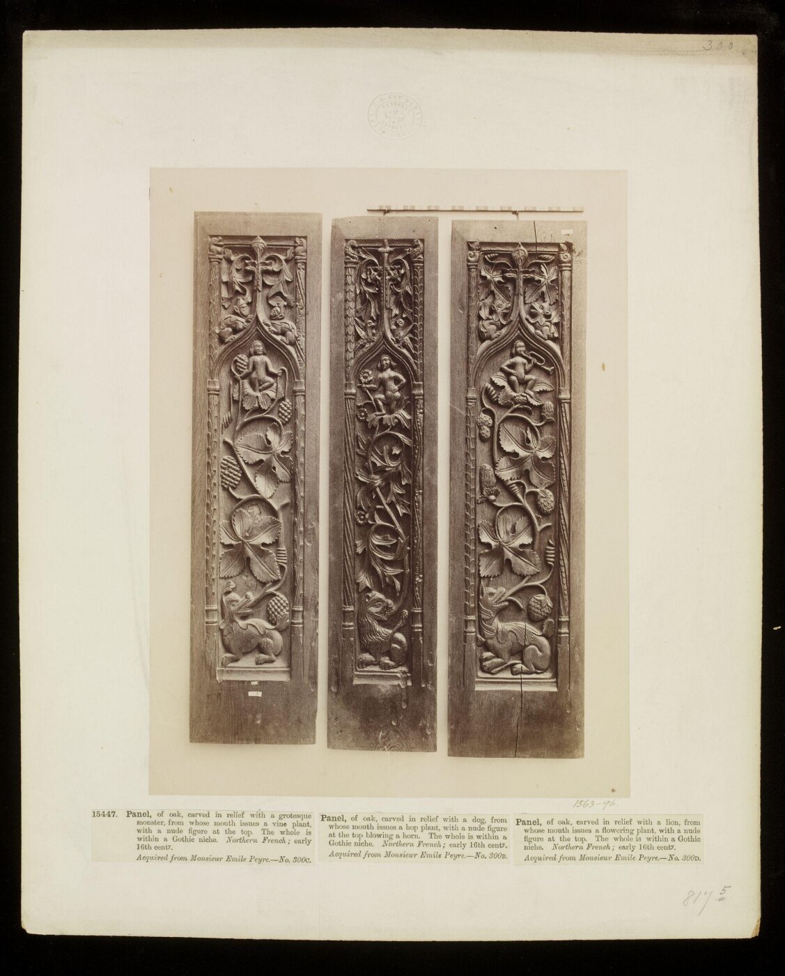 Unknown, Photograph