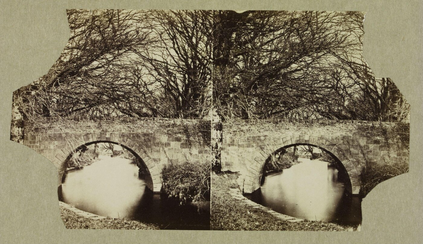 Clementina, Lady Hawarden, Photograph