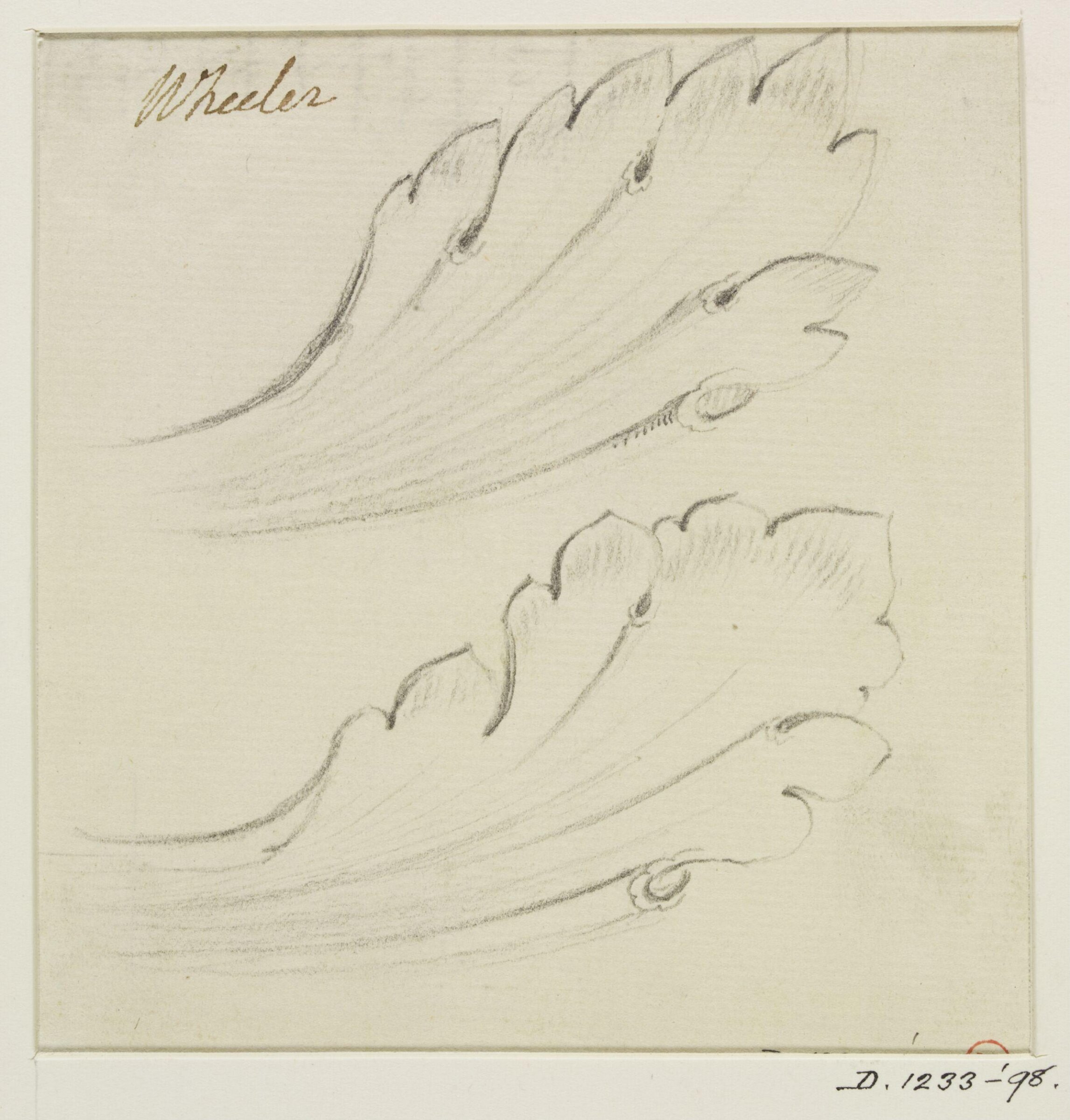Drawing, George Wheeler, 18th century - 19th century