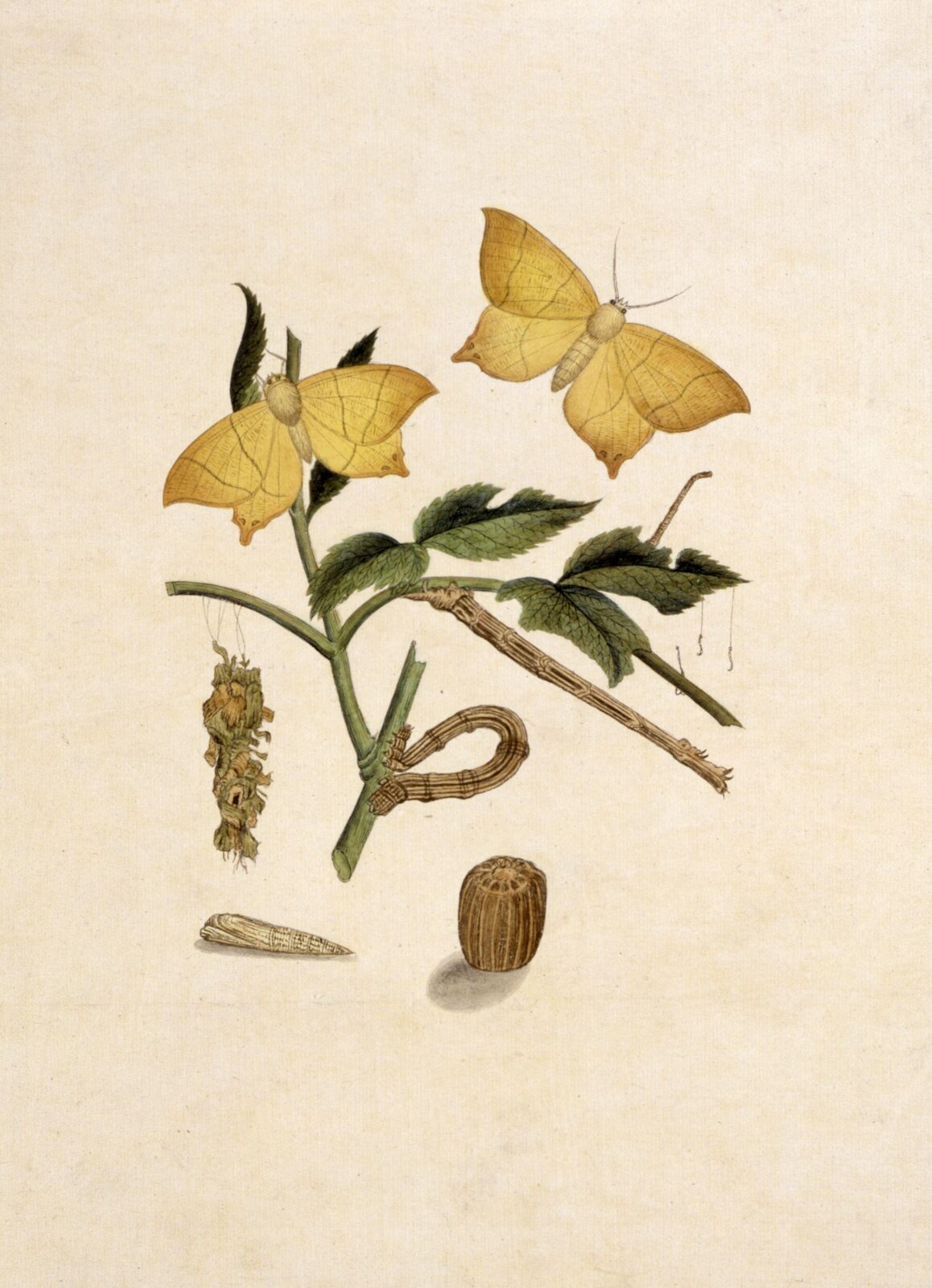 Painting, 19th century