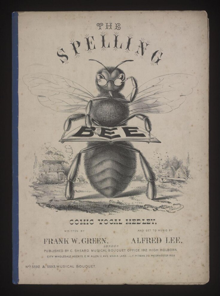 The Spelling Bee top image