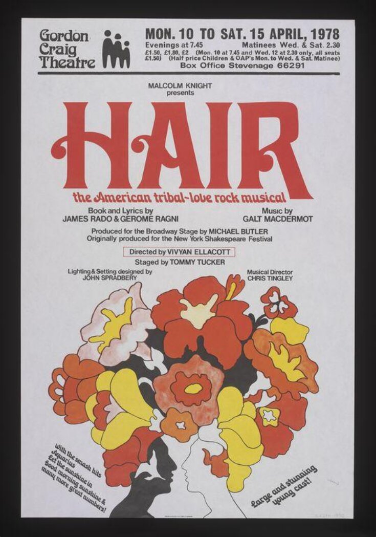Hair poster top image