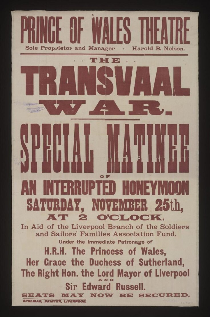 An Interrupted Honeymoon poster image