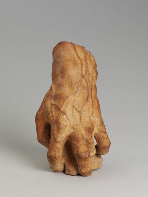 Michelangelo's Hand | Unknown | V&A Explore The Collections