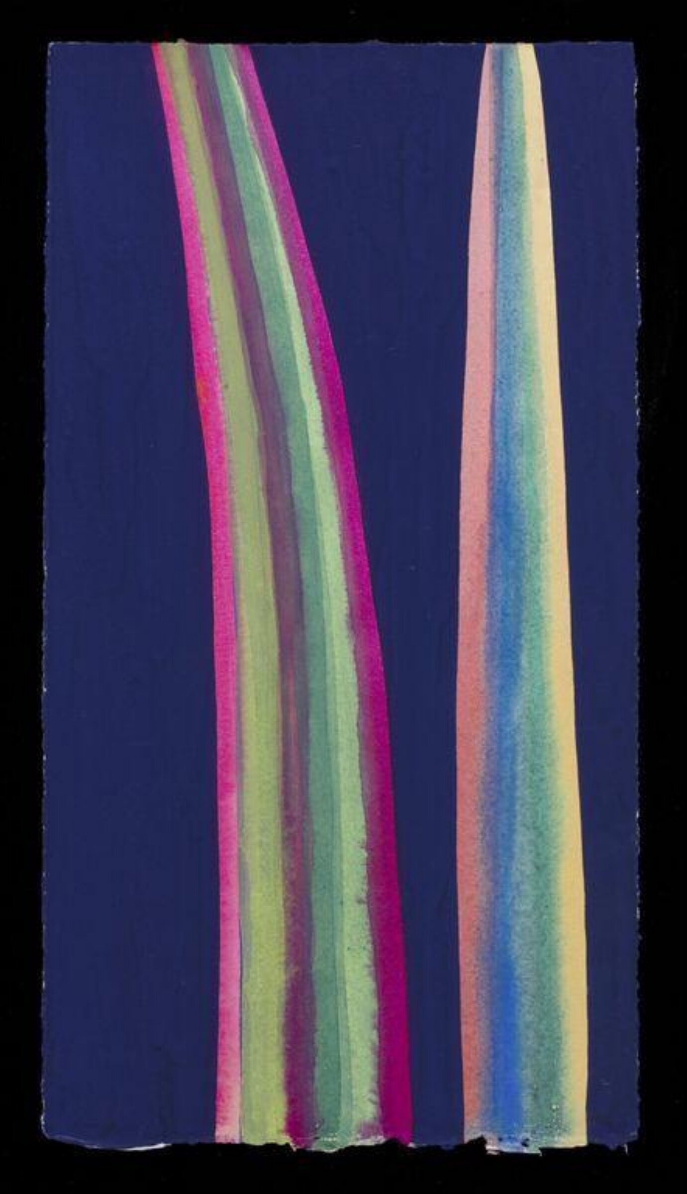 Two Leaves: New Zealand flax IV, Nerys Johnson, 2000
