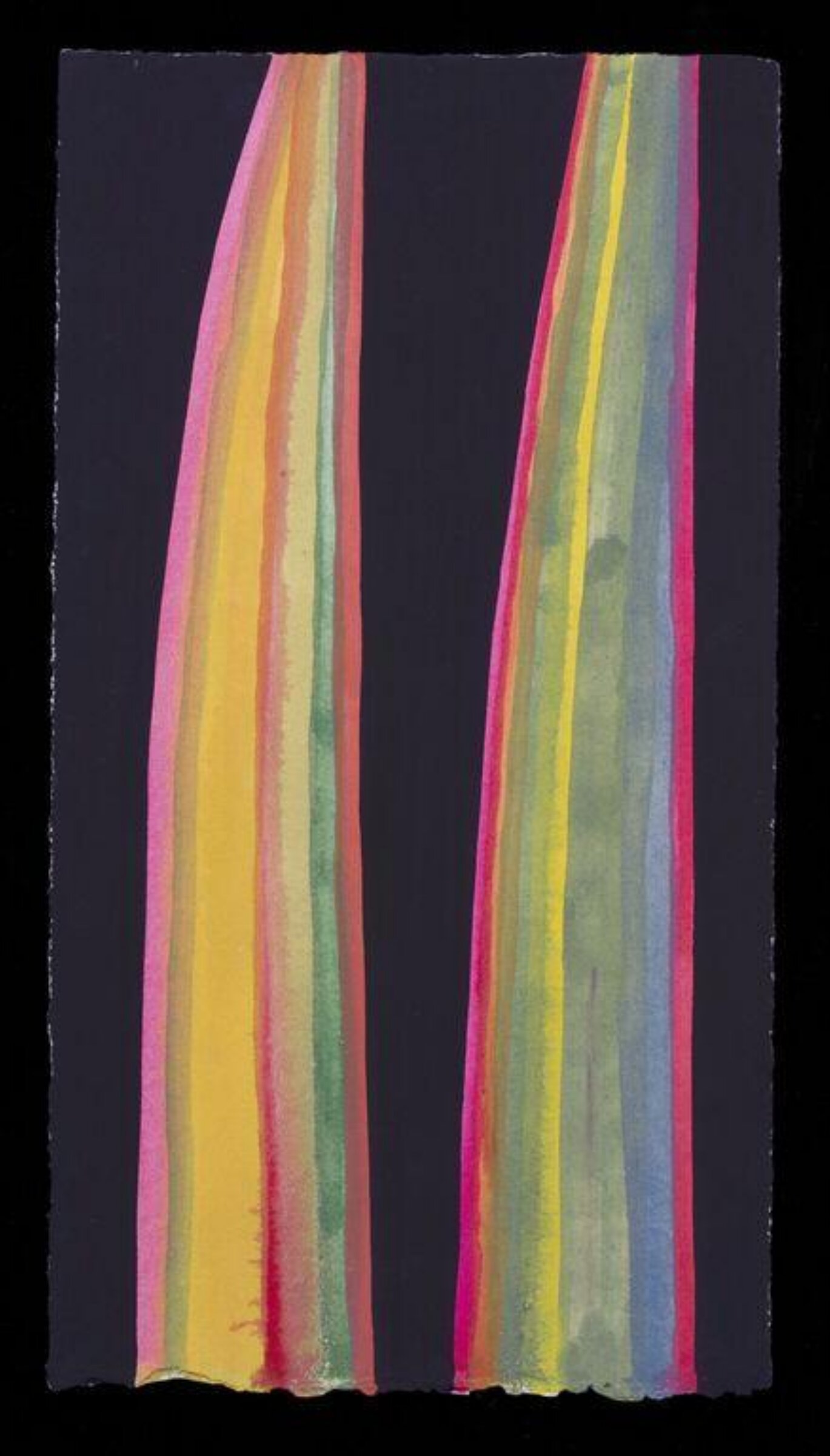 Two leaves: New Zealand flax VIII, Nerys Johnson, 2000