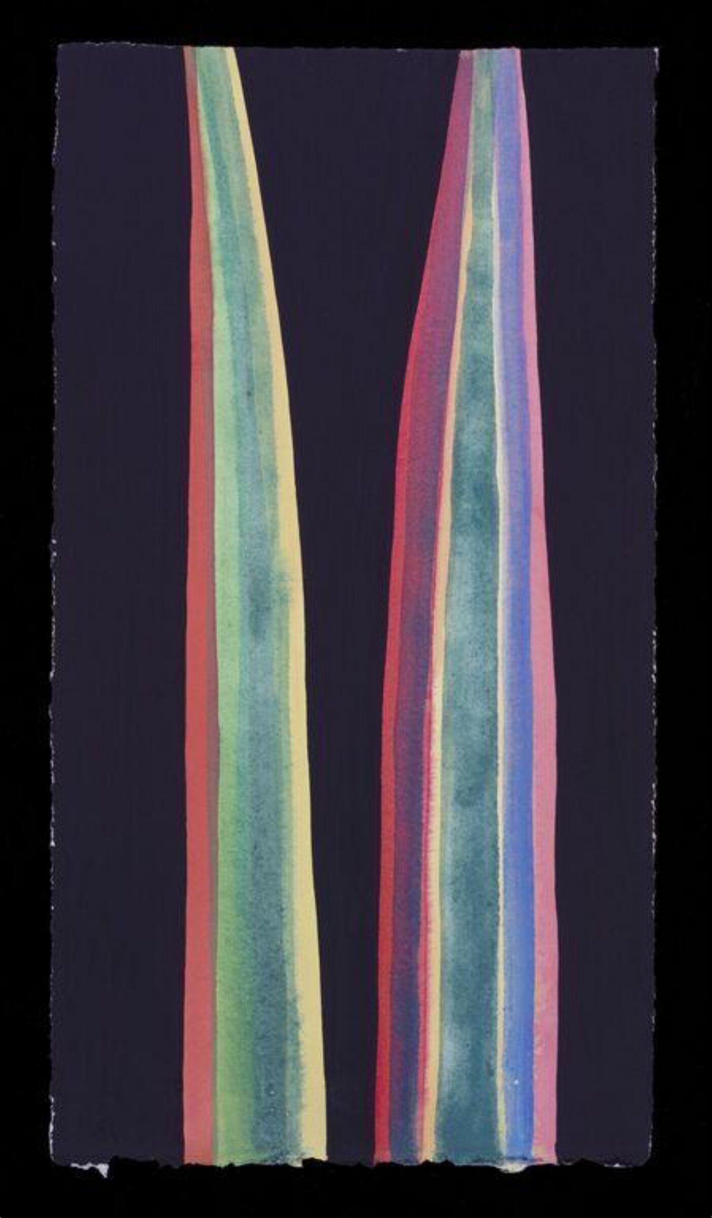 Two Leaves: New Zealand flax V, Nerys Johnson, 2000