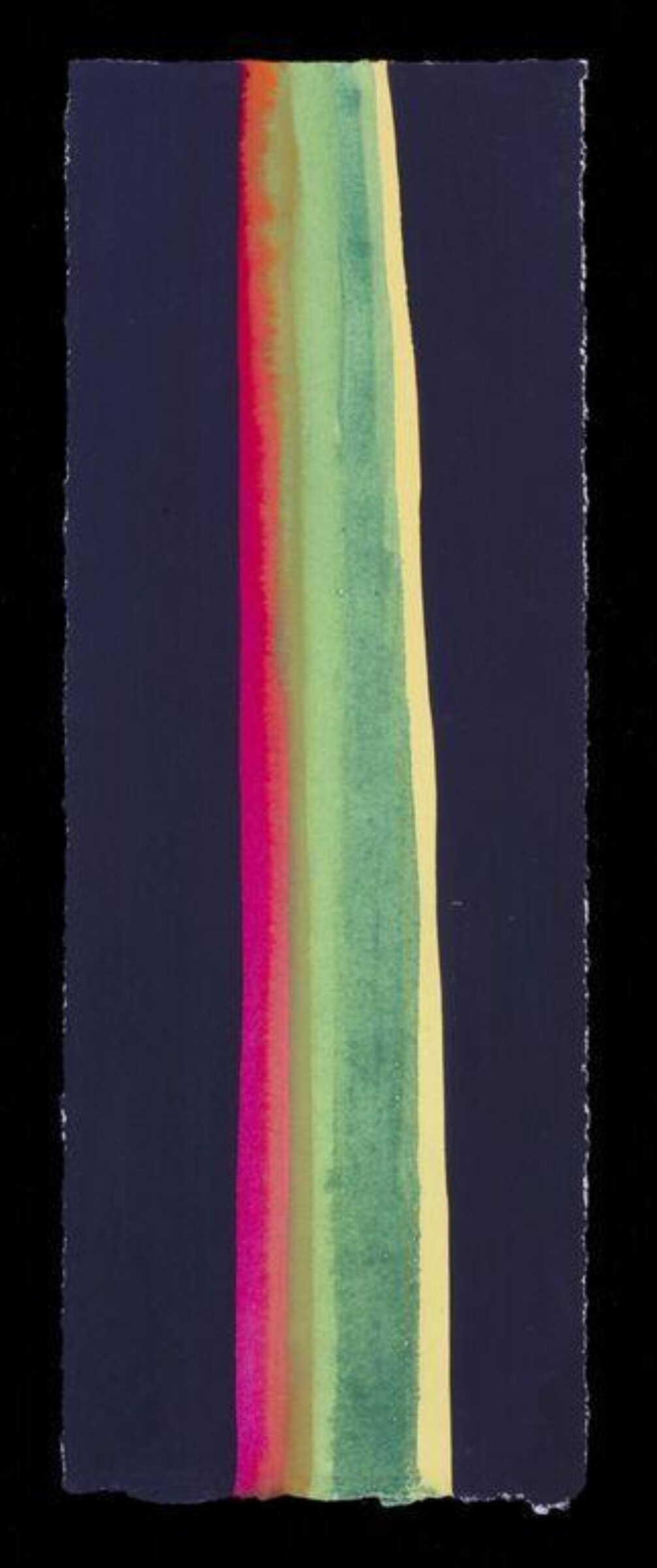 One Leaf: New Zealand flax VI, Nerys Johnson, 2000