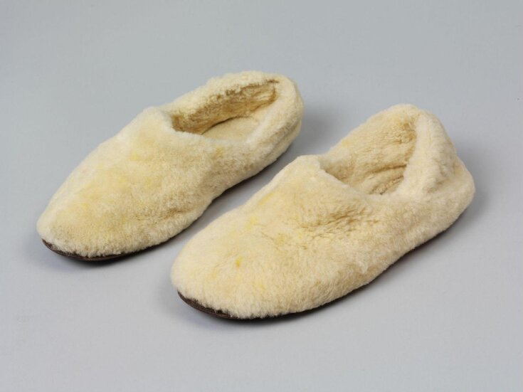 Pair of Slippers top image