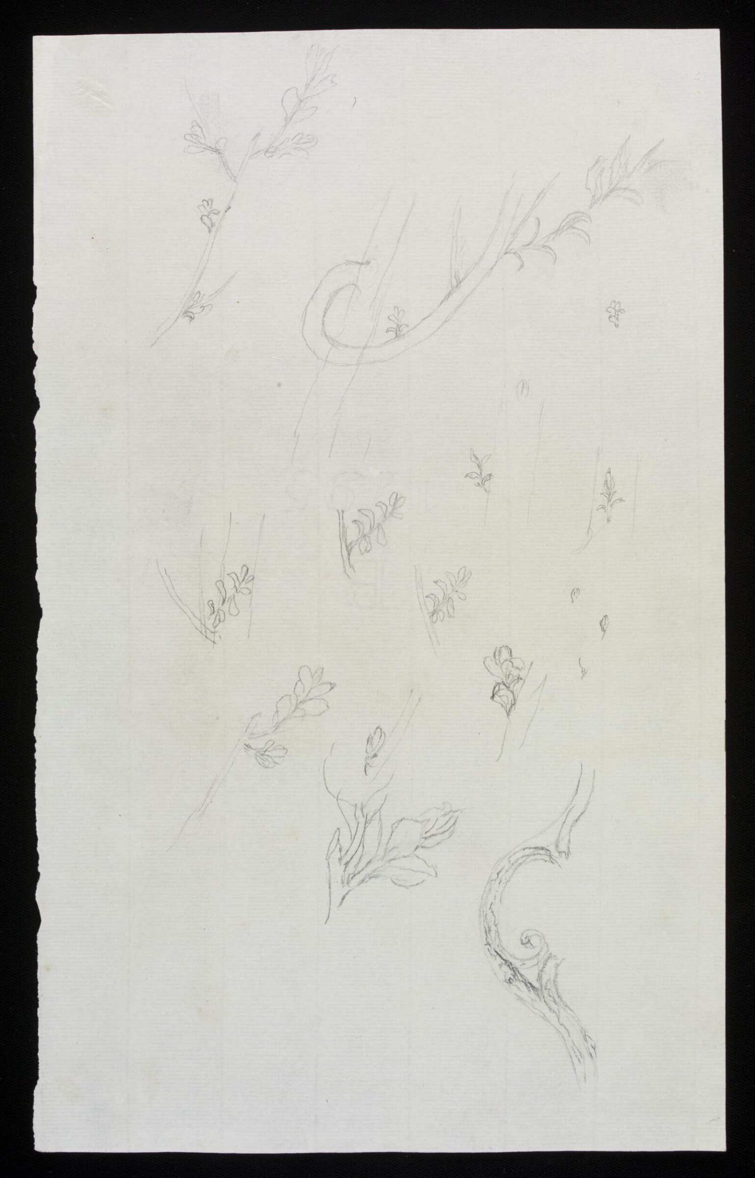 Drawing, James Hall, late 18th century - mid 19th century