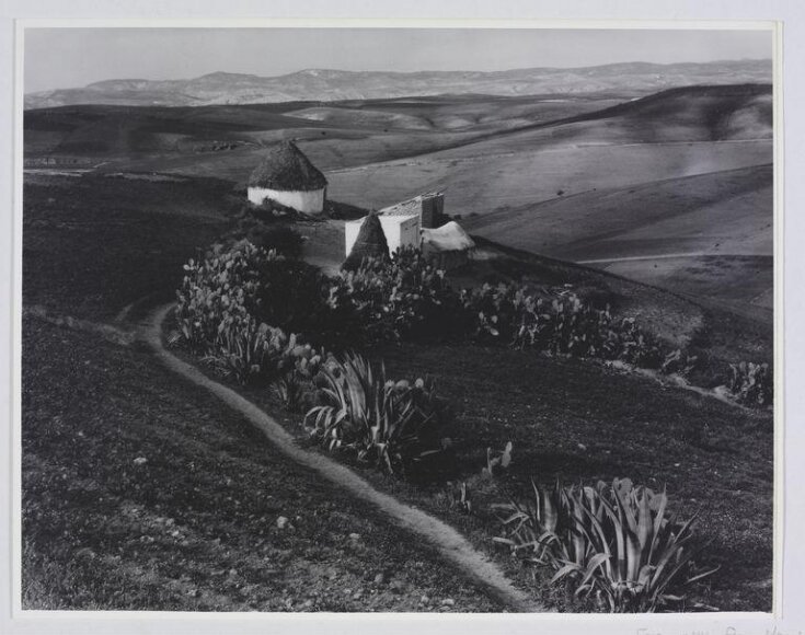 Farm near Fez, Morocco 1962 top image