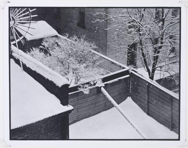 Snow, Backyards, New York City top image