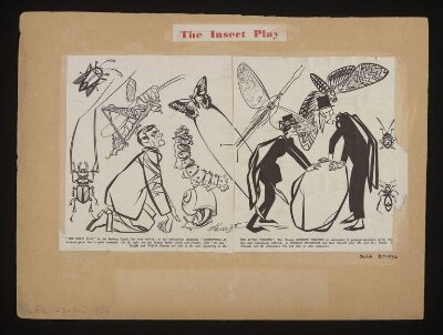 The Insect Play cartoon