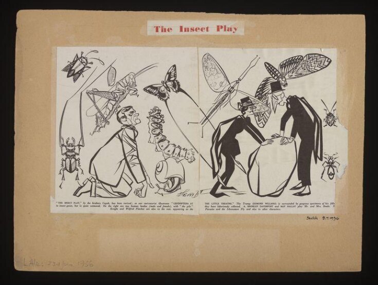 The Insect Play cartoon top image