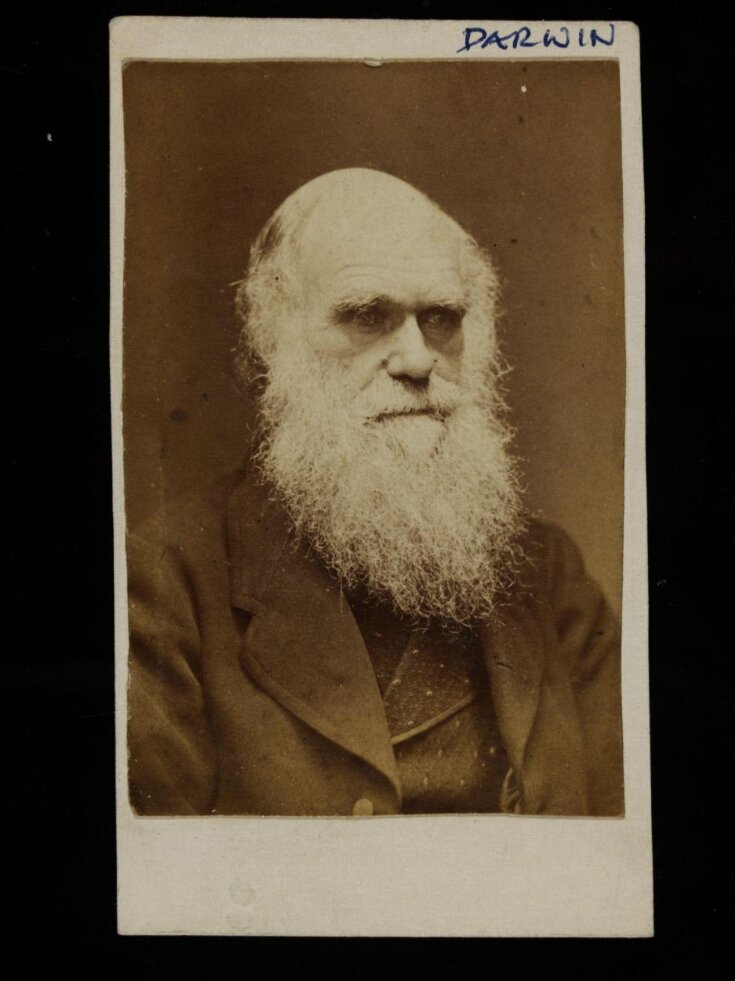 Photograph of Charles Darwin top image