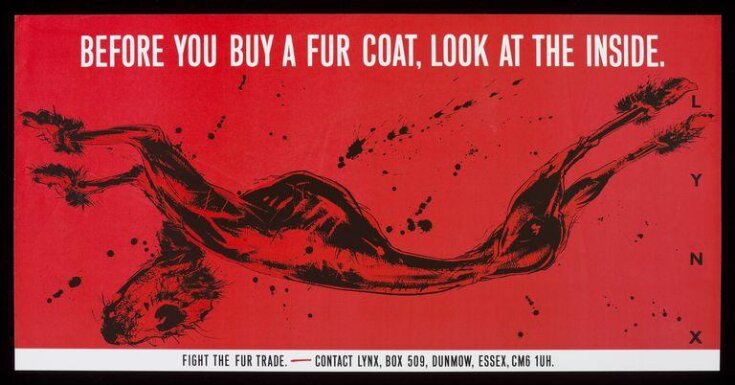 Before You Buy a Fur Coat Look at the Inside top image