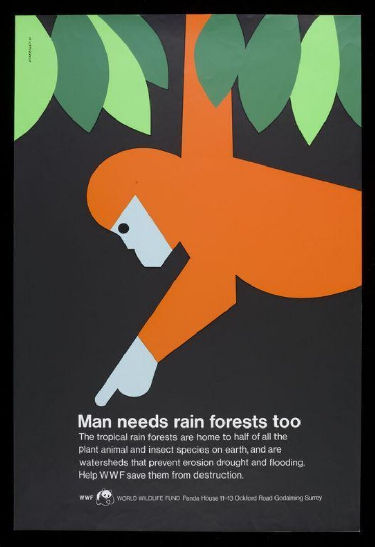 Man needs rainforests too... image