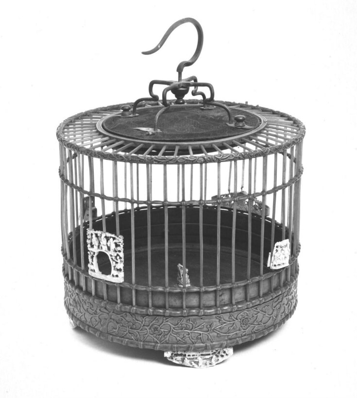 Bird Cage top image